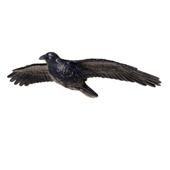 franzbogen-flying-raven