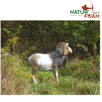 naturfoam-dickhornschaf-stehend