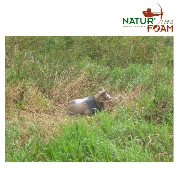 naturfoam-mufflon