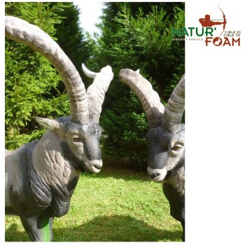 naturfoam-spanischer-steinbock