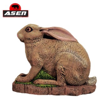 terc-asen-sports-hase