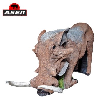 terc-asen-sports-warzenschwein-aesend_b2